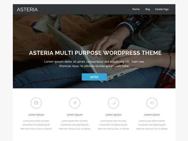 Asteria Lite WordPress ecommerce theme