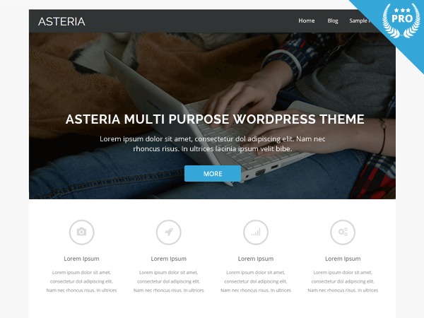 Asteria PRO personal WordPress theme