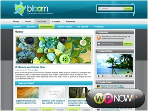 Bloom top WordPress theme
