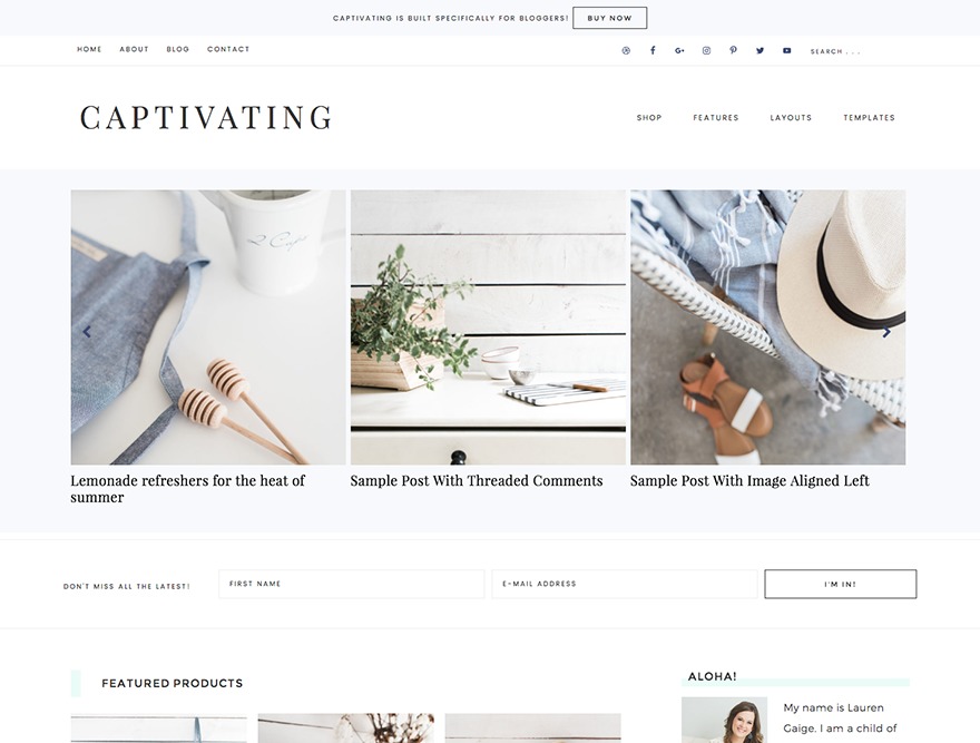 Captivating Theme WordPress ecommerce theme