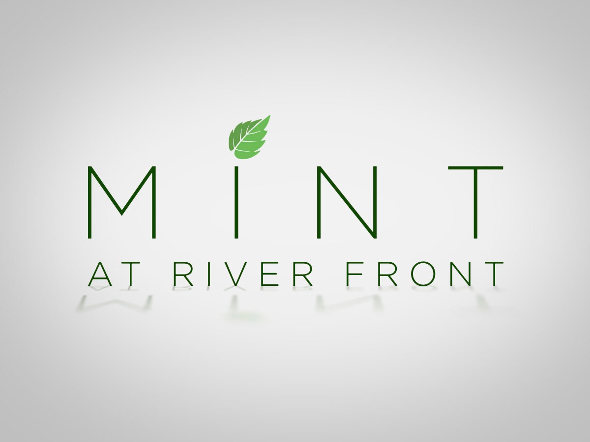 Mint Theme premium WordPress theme Mint Theme premium WordPress theme