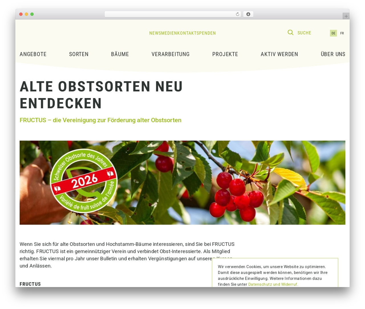 WebKinder Starter Theme theme WordPress - fructus.ch WebKinder Starter Theme theme WordPress - fructus.ch