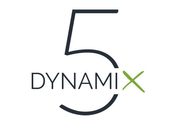 WordPress website template DynamiX