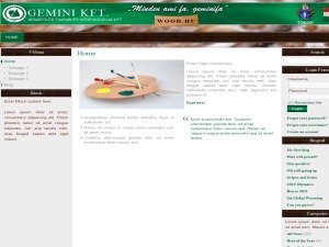 WP theme geminikft5