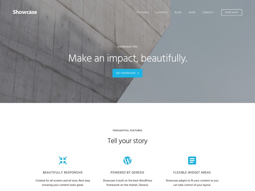 WP theme Showcase Pro