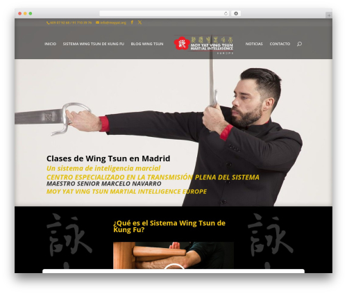 Divi theme WordPress - wing-tsun.es