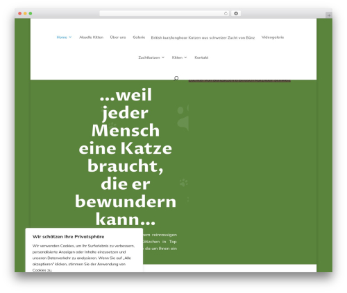 Divi animated gallery WordPress plugin - bkhvonbuenz.com
