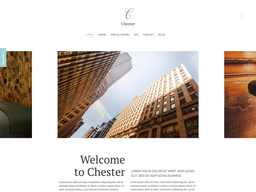 Template WordPress Chester