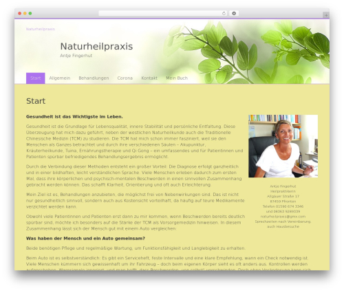 Gmx assistant WordPress plugin - aurachirurgie-fingerhut.de