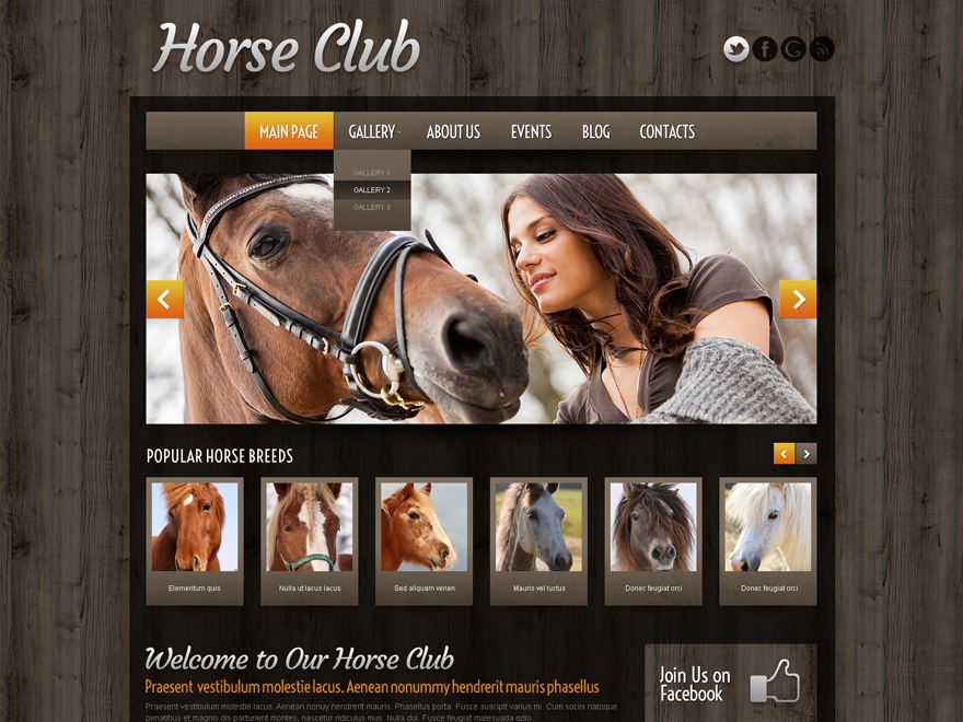 theme51973 top WordPress theme theme51973 top WordPress theme