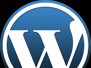 WAP WordPress theme by Vladimir Rejholec