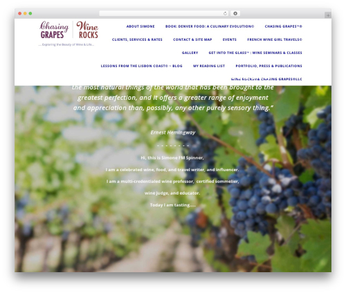 WordPress theme Optimizer - winerocksllc.com