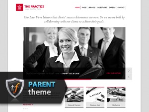 WordPress theme The Practice Parent by Sancheev Serghei