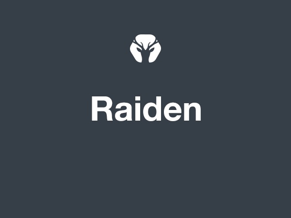 WordPress website theme Raiden WordPress website theme Raiden