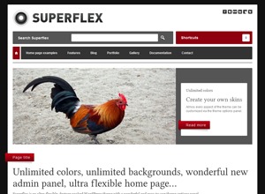 WordPress website theme Superflex // by Phi - Testversion by Phi - Andreas Wilthil