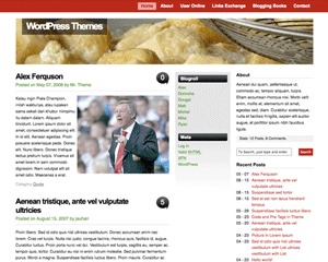 WP theme vita