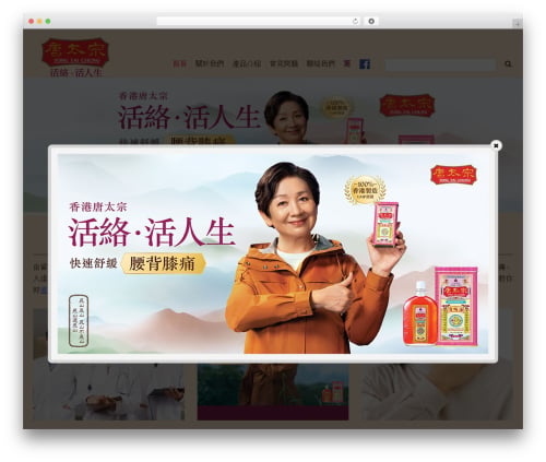 constructo WordPress theme - tongtaichung.com.hk