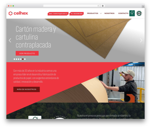 Theme WordPress Celhex - celhex.cl