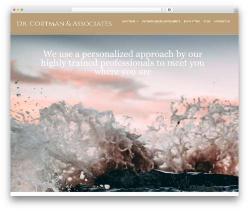 Create premium WordPress theme - srqshrink.com