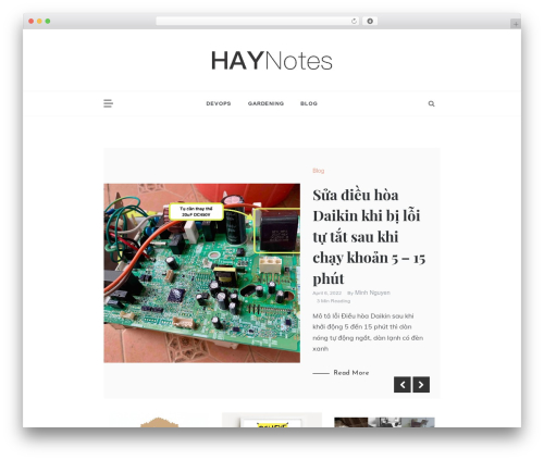 Prefer WordPress theme - haynotes.com
