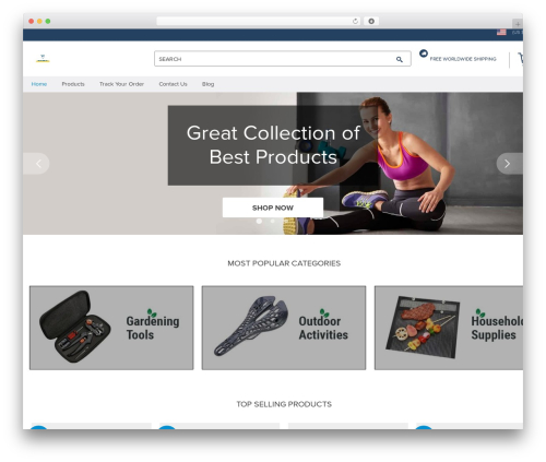 Alids WordPress plugin - bestdealsoffer.com