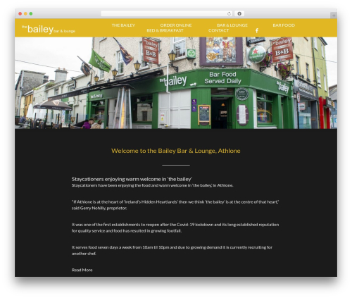 Generic theme WordPress - thebaileyathlone.ie