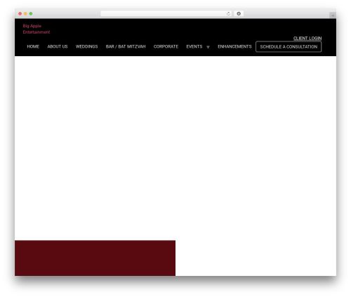 B tiktok feed WordPress plugin - bigappleent.com