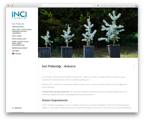 Above the fold optimization WordPress plugin - incifidan.com