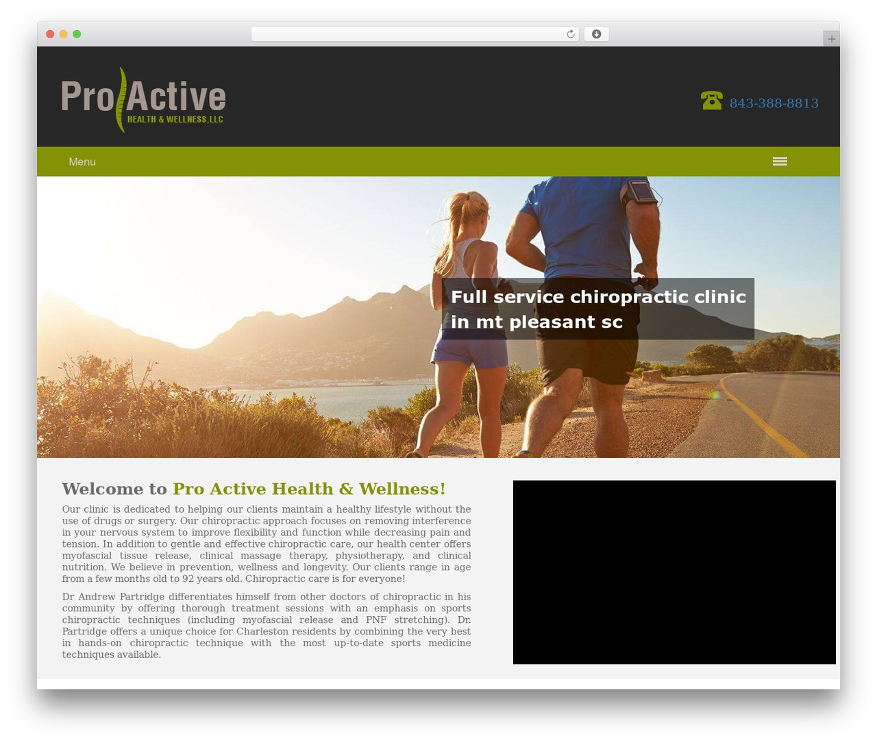 WordPress theme ProActive - proactivecharleston.com WordPress theme ProActive - proactivecharleston.com