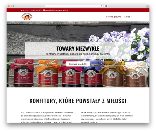 Surbma | Divi Extras (surbma-divi-extras) free WordPress plugin - towaryniezwykle.pl