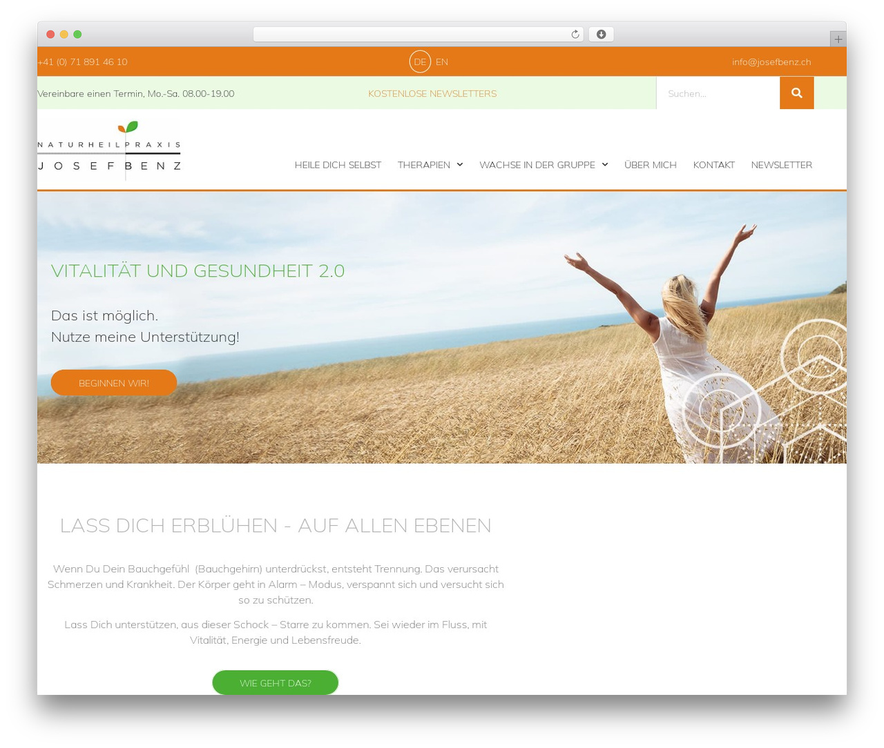 Hello Elementor theme WordPress free - josefbenz.ch