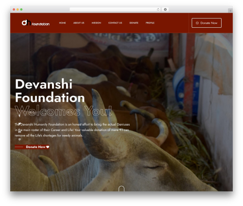 Proffer core WordPress plugin - dhfone.org