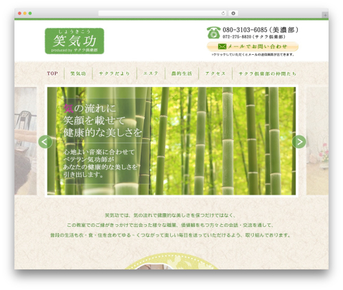 WordPress theme 新・ソリューションパッケージ - sho-kikou.com
