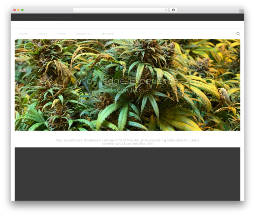 WordPress theme Topconsult - inceptionadvisorygroup.com