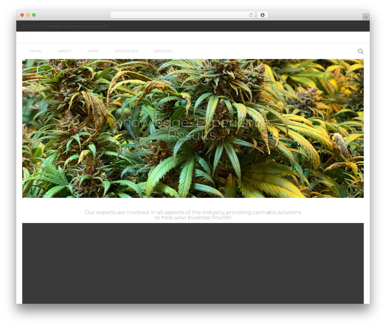 WordPress theme Topconsult - inceptionadvisorygroup.com