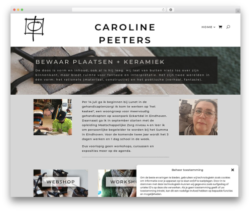 Before Sales WordPress theme - carolinepeeters.nl