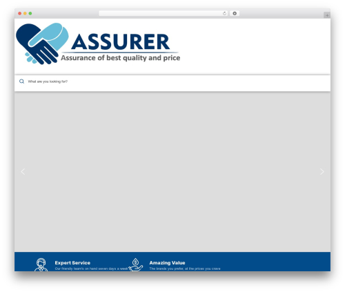 mobex WordPress theme - weassurer.com