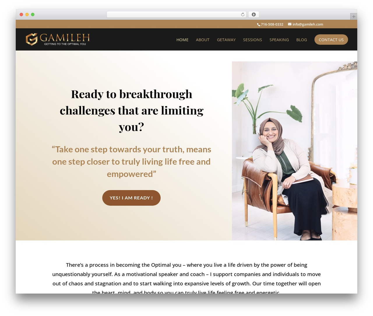WordPress theme Divi - gamileh.com