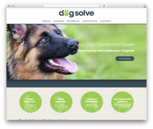 WordPress theme Enfold - dogsolve.com