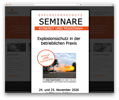 WordPress theme Mega Project - inburex.com