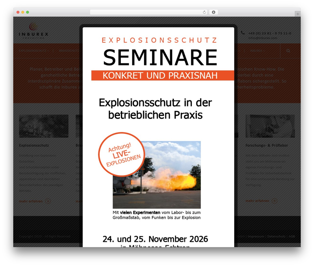 WordPress theme Mega Project - inburex.com