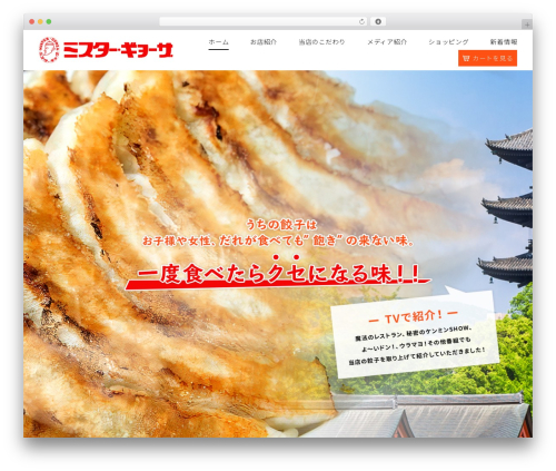 Best WordPress theme Themify Basic - mr-gyo-za.com
