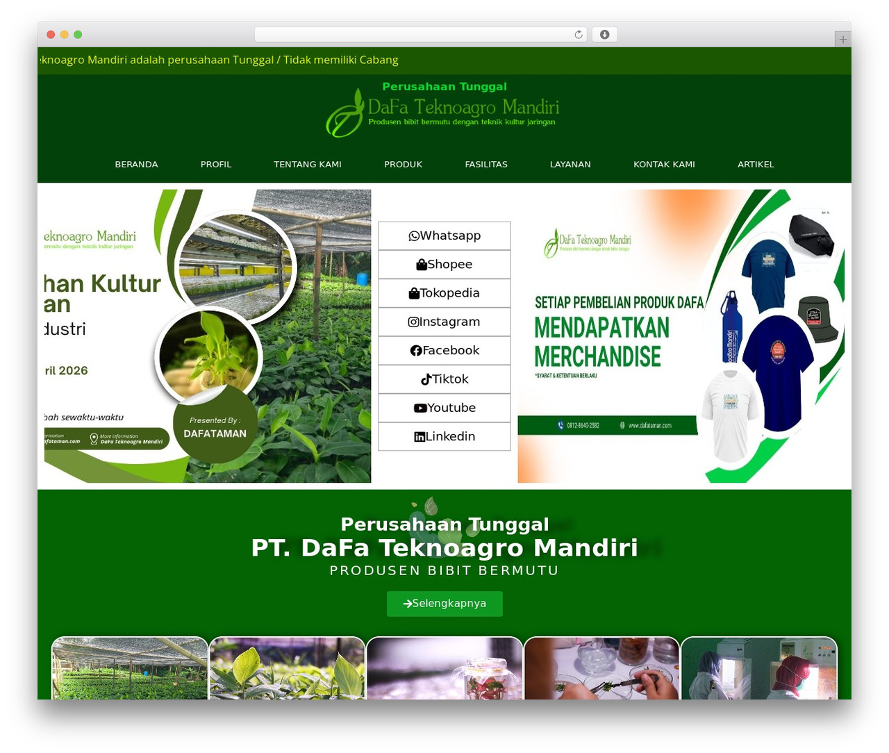 Divi WordPress theme - dafataman.com Divi WordPress theme - dafataman.com