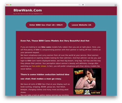 Optimizer PRO best WordPress theme - bbwwank.com