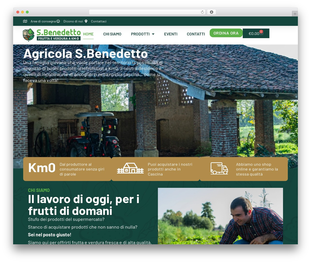 Theme WordPress Hello Elementor - agricolasanbenedetto.it