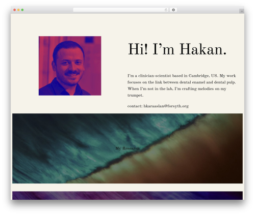 WordPress theme Blue Note - hakankaraaslan.com