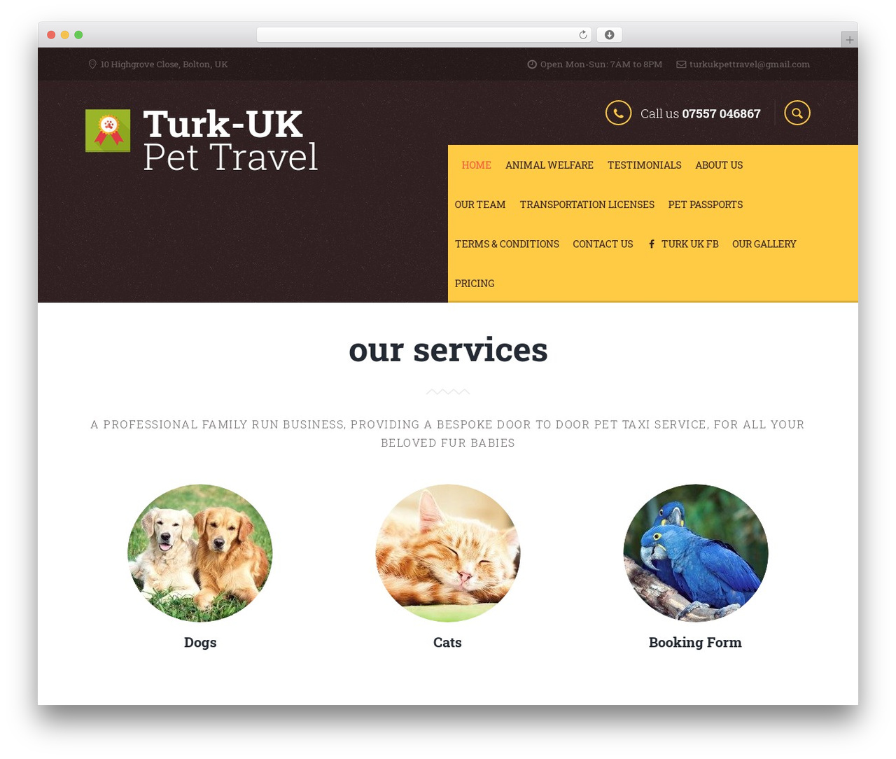 WordPress theme Pets - pettransportturkey.com