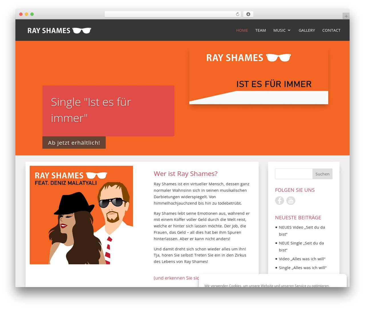 Divi WordPress theme - rayshames.com