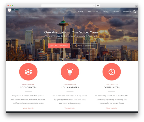 WTI Like Post (wti-like-post) free WordPress plugin - seattlemoaa.com