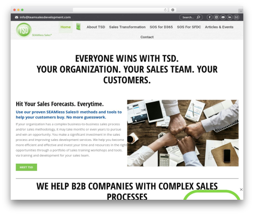 Double opt in WordPress plugin - teamsalesdevelopment.com
